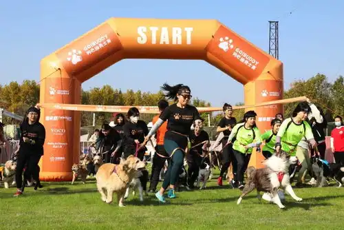 与爱犬做队友共同挑战狗巴迪勇士赛上海站开启