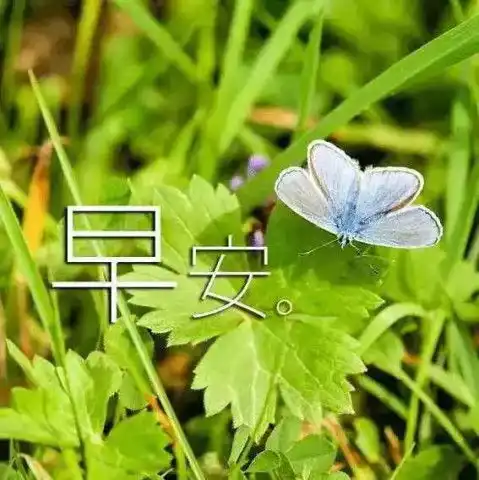 微信朋友圈早安心语简短早安心语温暖语句