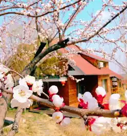 4.13春光倾城暖竹林袅袅归游无极幽谷观翠竹清泉感受沂蒙风情自驾2日游