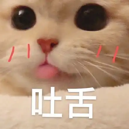 轻松一刻圈子精选笑死,窗帘都拉上了,就给我上这样的车