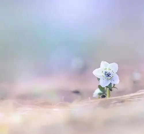 做人,真的好累