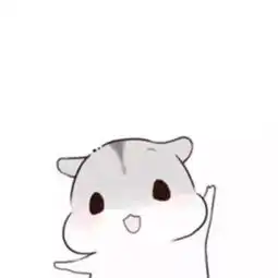 精品栏目预告