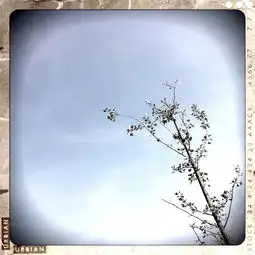 最后,我恨你们