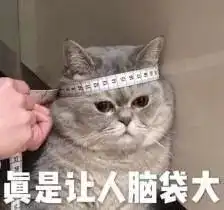 嘉定人,请收下垃圾分类吉祥物萌芽熊的友情提醒