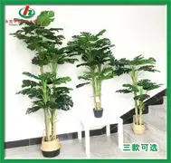 东莞豪霖厂家直销仿真龟背仿真绿植盆景北欧家居室内落地家居摆件