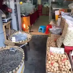 老板我买猫