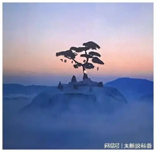 云边有个小卖部电影上映