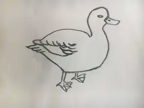 简笔画素描美女小白教你画画喜欢可以学学简单的素描简笔画