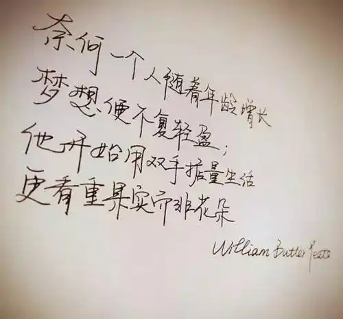 这才是最高级炫富王珞丹字体被笔尖上的中国收录,成首位女星