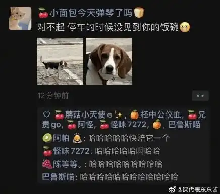 对不起停车的时候没有见到你的饭碗狗子