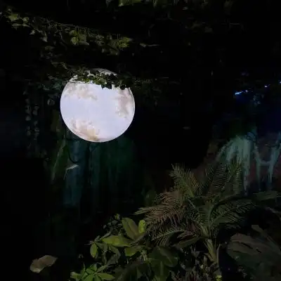测试一个超长简介的文章