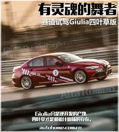 有灵魂的舞者giulia四叶草版