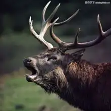 测试一个超长简介的文章
