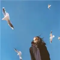 测试一个超长简介的文章