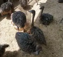 黄页88高清图片