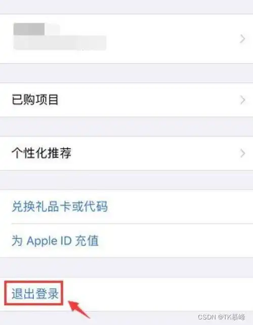 美版苹果手机怎么下中国抖音美版苹果能下载tiktok吗