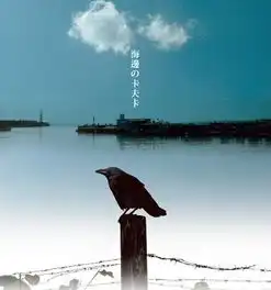 太嚣张了,偷盗抢欺全给占了怪不得日本人越来越讨厌他们...