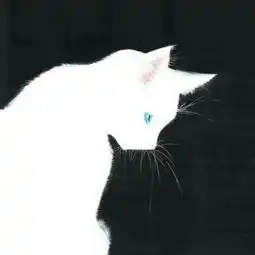 一只黑猫和一只白猫的情侣头像