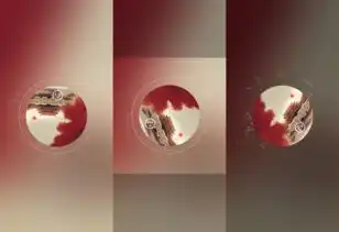 android仿网易云鲸云音效动效