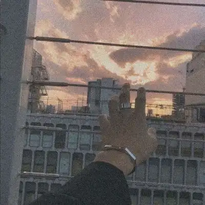 沈曦ins唯美意境手控背景图凋落风景静物头像我要个性网