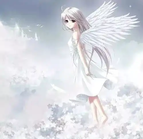 测试一个超长简介的文章