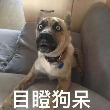 带狗做绝育,却被宠物医院里的锦旗笑出猪叫声...