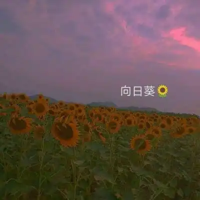 林知晚可爱唯美小清新自然背景风景静物头像我要个性网