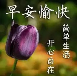 朋友圈精辟透彻的人生励志经典语录,句句充满正能量