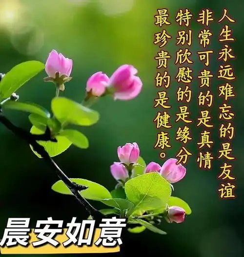 2024.8.30早安问候,愿你顺心如意