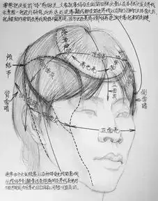 素描中头发的画法,你会画了吗