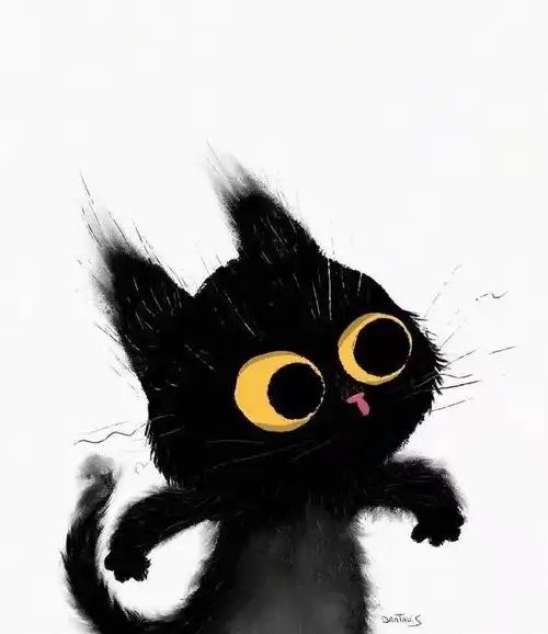 萌萌的小黑猫上线了