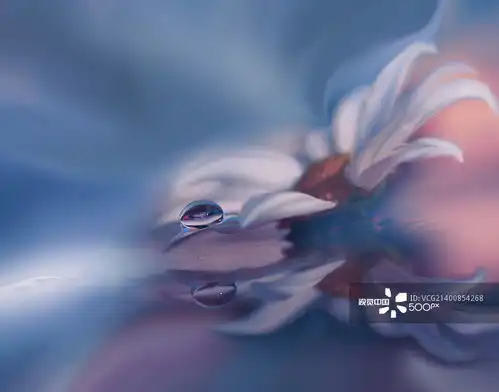 摄影图片