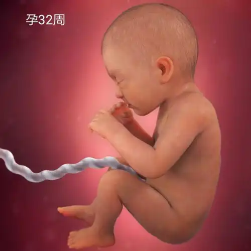 这几周是胎儿的猛涨期,宝宝发育势头迅猛,孕妇要做好这4点