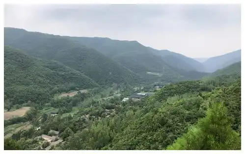 2021年是寡年,大年初三遇上情人节,赤狗日咋过情人节
