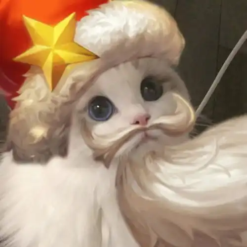 王者小猫头像,你要抱哪个回家