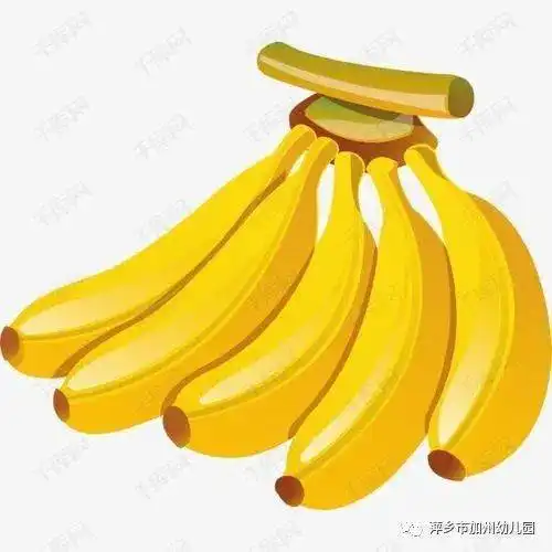 美食沟通你我,共享美好饮食萍乡市加州幼儿园生态教育饮食篇