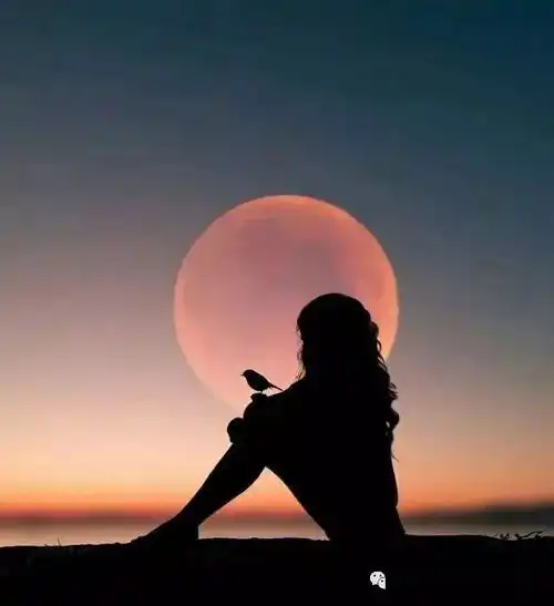 在人间目光所及,皆有情深福地福人居,京东京车会你可以活得将就,也可以过得讲究人生