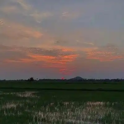 2019最新风景静物头像