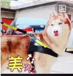 请问快手右上方这个标志啥意思点开就这一张照片吗
