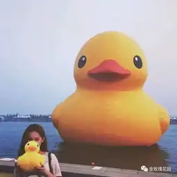 河滨公园来了一只大黄鸭金玫瑰花园门口哦