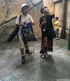 张柏芝与粉丝玩自拍长裙墨镜气质佳图