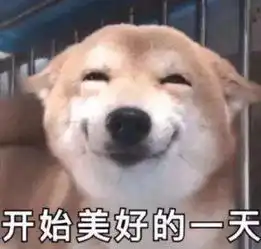 好奇害了狗狗子出门一趟竟被咬成猪鼻子