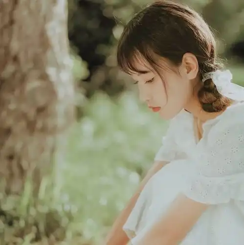 无标题