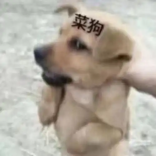 发现男友偷带妹打游戏