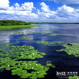 残存的壮美三江平原湿地