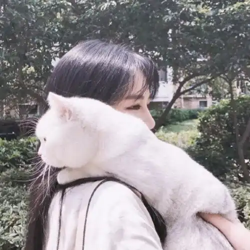 八字看财运,生在这一天,事业步步高升,财运越来越好