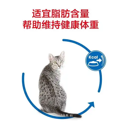 皇家猫粮i27室内成猫猫粮10kg猫食猫咪主粮促进去毛球猫粮包邮