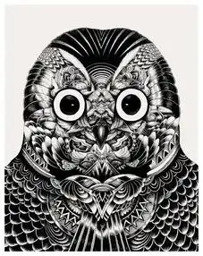 owl猫头鹰笔墨手绘插画