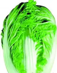 山东白菜被曝用甲醛保鲜南京蔬菜入市不检测甲醛