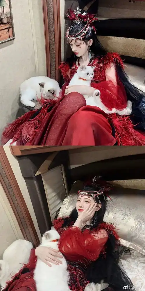 四千年美女鞠婧祎古装造型超惊艳抱猫咪显温柔